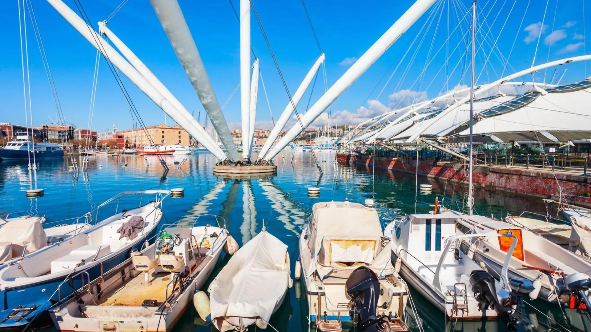 Apartment Wonderful Flat - Historic Center - Happy Rentals Genoa